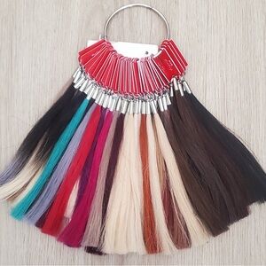 Babe Extensions Hair Color Sample Ring - Like New